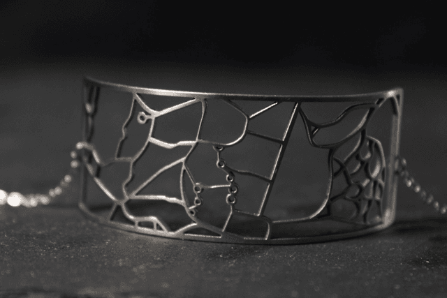 Geneve  Parc botanique | Bracelet rectangulaire | Inox | Dedale